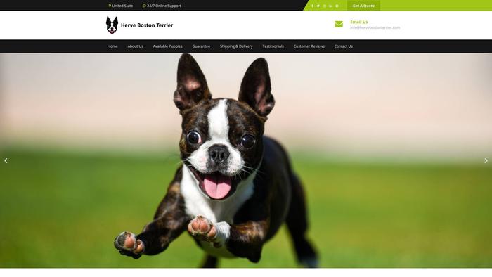 Hervebostonterrier.com - Boston Terrier Puppy Scam Review