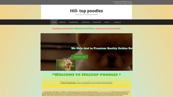 Hillpoodles.com - Poodle Puppy Scam Review