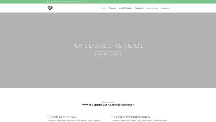 Homelabradorretrivers.com - Golden Retriever Puppy Scam Review