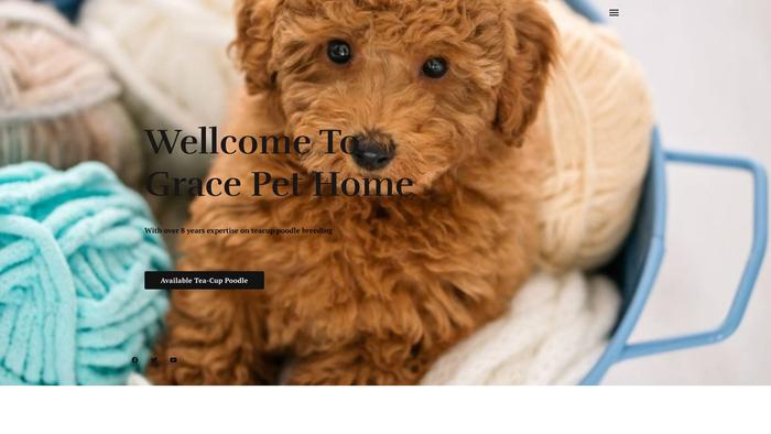 Homeofgracepoodlepuppies.com - Poodle Puppy Scam Review