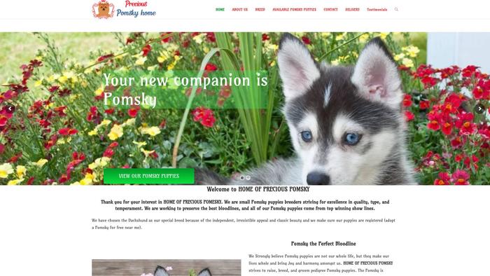 Homofpreciouspomsky.com - Pomeranian Puppy Scam Review