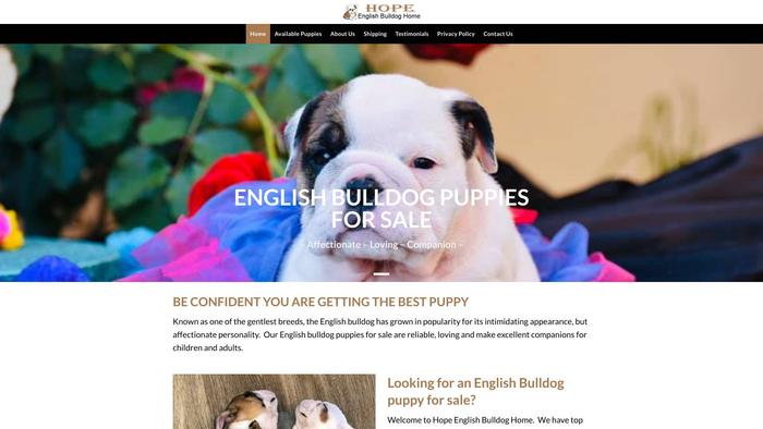 Hopeenglishbulldoghome.com - English Bulldog Puppy Scam Review