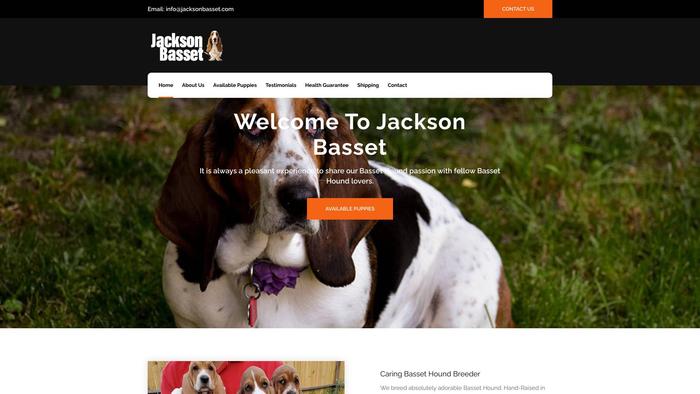 Jacksonbasset.com - Bassethound Puppy Scam Review