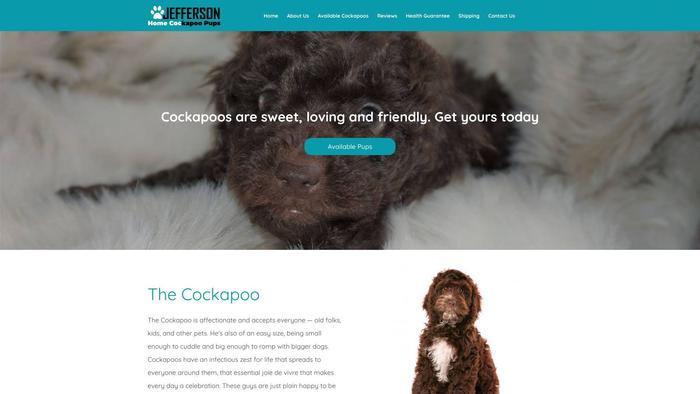 Jeffersonhomecockapoopups.com - Cockapoo Puppy Scam Review