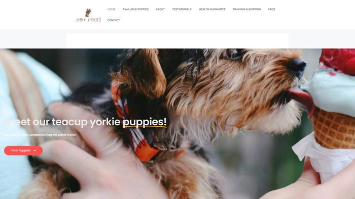 Jimmyyorkies.com - Yorkshire Terrier Puppy Scam Review