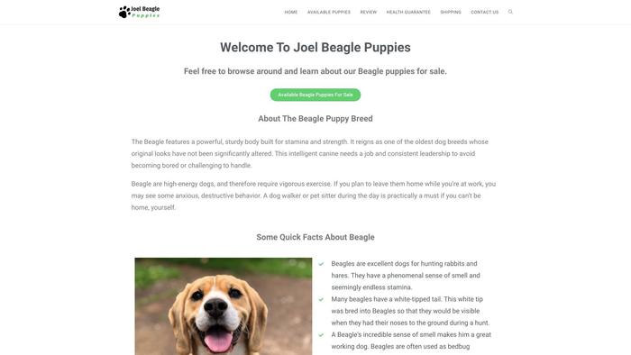 Joelbeaglepuppies.com - Beagle Puppy Scam Review