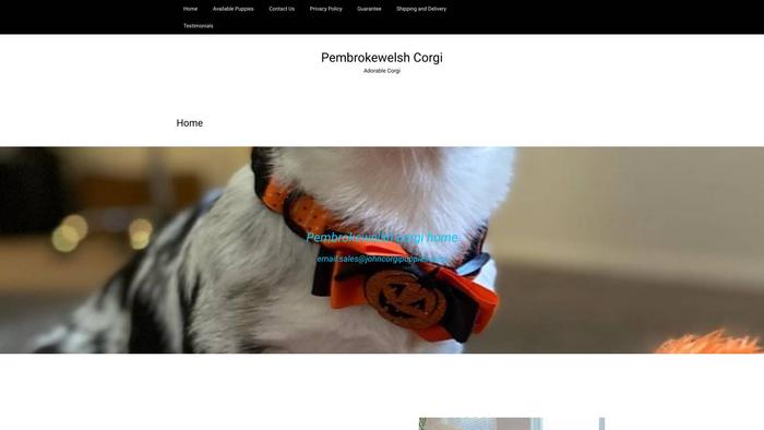 Johncorgipuppies.com - Corgi Puppy Scam Review