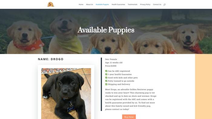 Johngoldenretrieverpuppies.com - Golden Retriever Puppy Scam Review