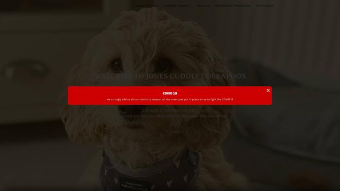 Jonescuddlycockapoos.com - Cockapoo Puppy Scam Review