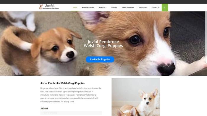 Jovialpembrokewelshcorgipuppies.com - Corgi Puppy Scam Review