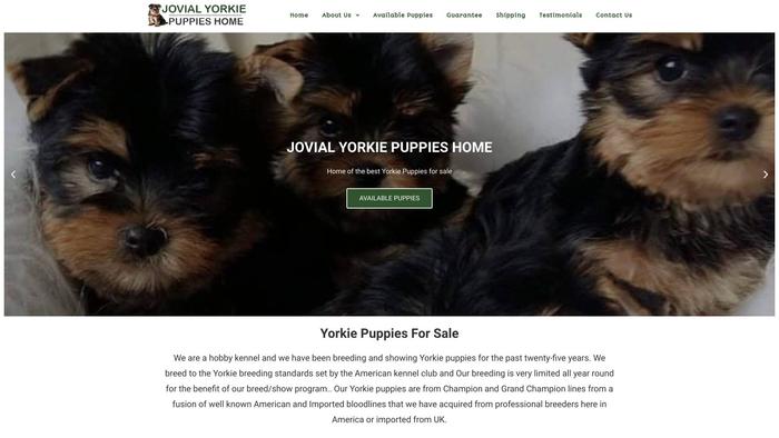 Jovialyorkiepuppieshome.com - Yorkshire Terrier Puppy Scam Review