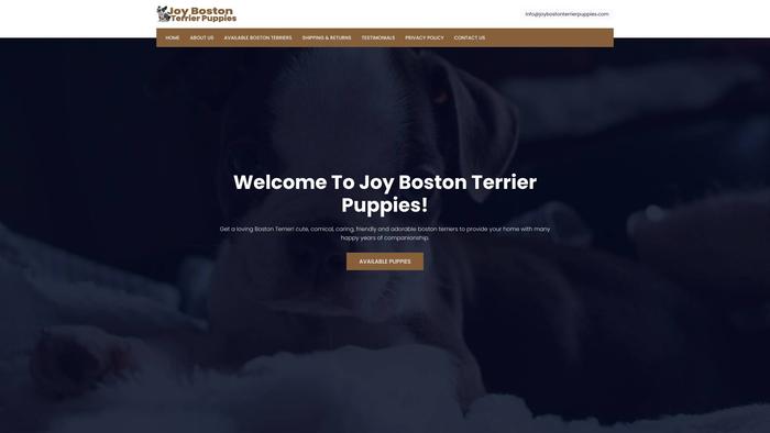 Joybostonterrierpuppies.com - Boston Terrier Puppy Scam Review