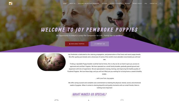 Joypembrokes.com - Corgi Puppy Scam Review