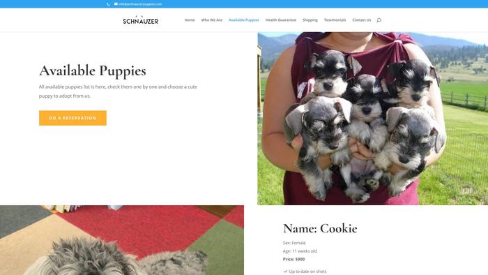 Jschnauzerpuppies.com - Schnauzer Puppy Scam Review