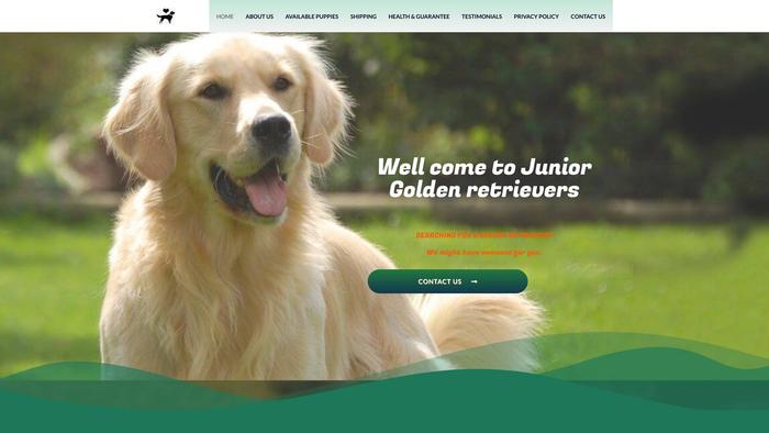 Juniorgoldenretrievers.com - Golden Retriever Puppy Scam Review