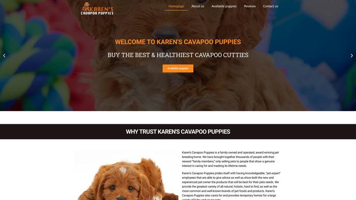 Karencavapoopuppies.com - Cavapoo Puppy Scam Review