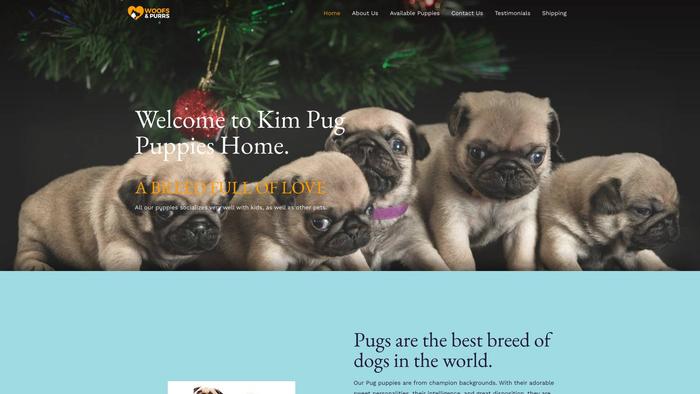 Kimpugpuppieshome.com - Pug Puppy Scam Review