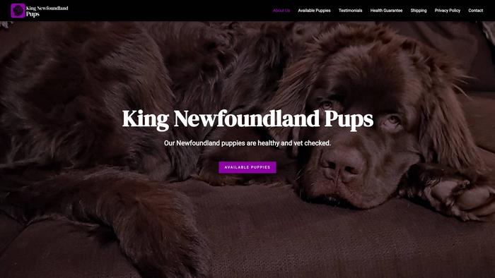 Kingnewfoundlandpups.com - Saint Bernard Puppy Scam Review