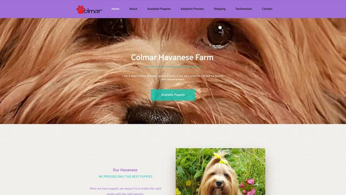 Kolmarhavanesefarm.com - Havanese Puppy Scam Review