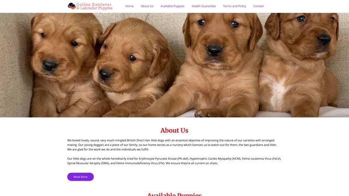 Labrador-goldenretrievers.com - Golden Retriever Puppy Scam Review