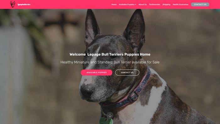 Lepagebullterriers.com - Terrier Puppy Scam Review