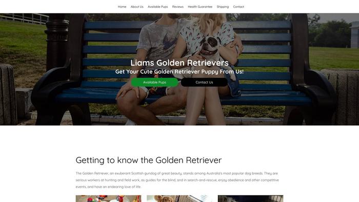 Liamsgoldenretrievers.com - Golden Retriever Puppy Scam Review