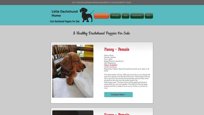 Littledashundhome.com - Dachshund Puppy Scam Review