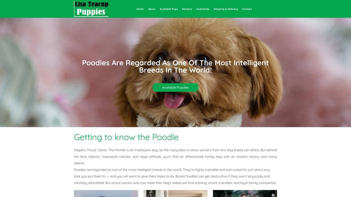 Lizateacuppuppies.com - Yorkshire Terrier Puppy Scam Review