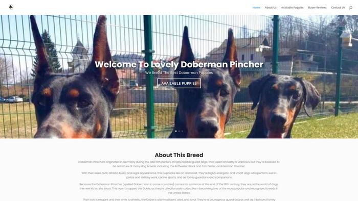 Lovelydobermanpincherpuppies.com - Doberman Pinscher Puppy Scam Review