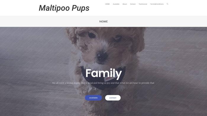 Lovelypupshome.com - Maltipoo Puppy Scam Review