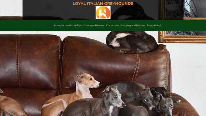 Loyalitaliangreyhoundshome.com - Labrador Puppy Scam Review