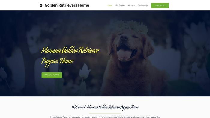 Mananagoldenretrieverpuppieshome.com - Golden Retriever Puppy Scam Review