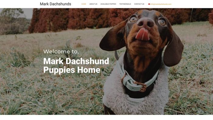 Markdachshunds.com - Dachshund Puppy Scam Review