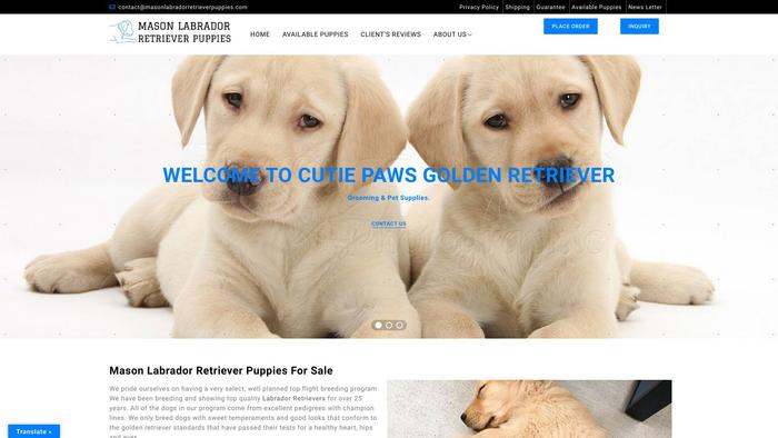 Masonlabradorretrieverpuppies.com - Golden Retriever Puppy Scam Review