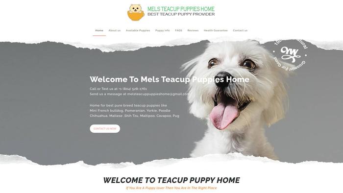 Melsteacuppuppieshome.com - Yorkshire Terrier Puppy Scam Review