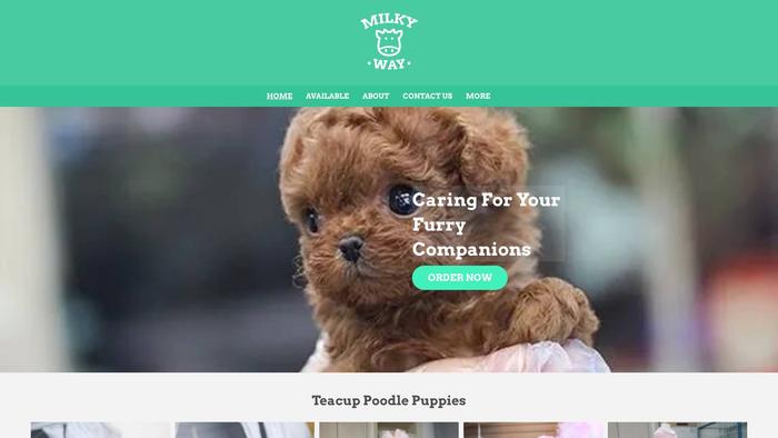 Mhouseteacuppoodlepuppies.com - Poodle Puppy Scam Review