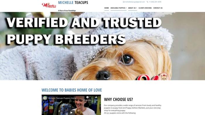 Michelleteacups.net - Yorkshire Terrier Puppy Scam Review