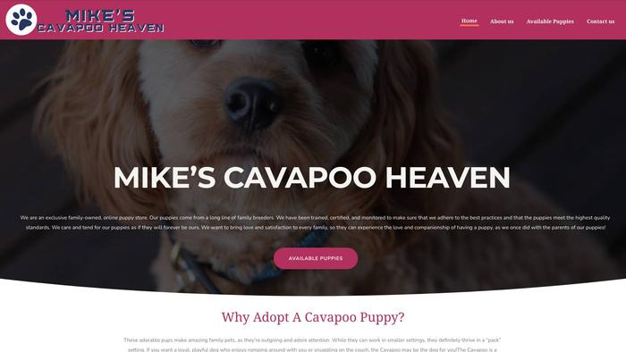 Mikescavapooheaven.com - Cavapoo Puppy Scam Review