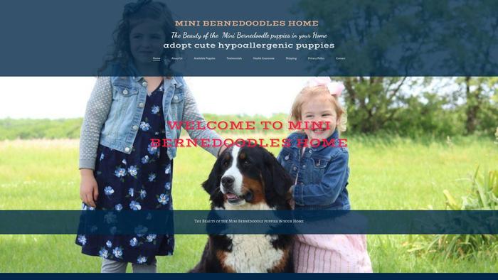 Minibernedoodlepupshome.com - Bernedoodle Puppy Scam Review