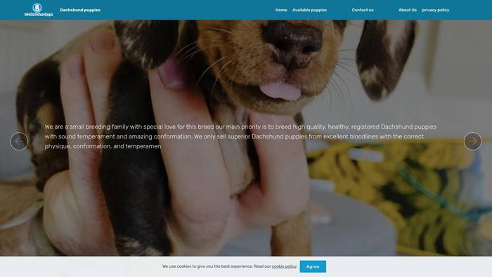 Minidachshundpups.com - Dachshund Puppy Scam Review