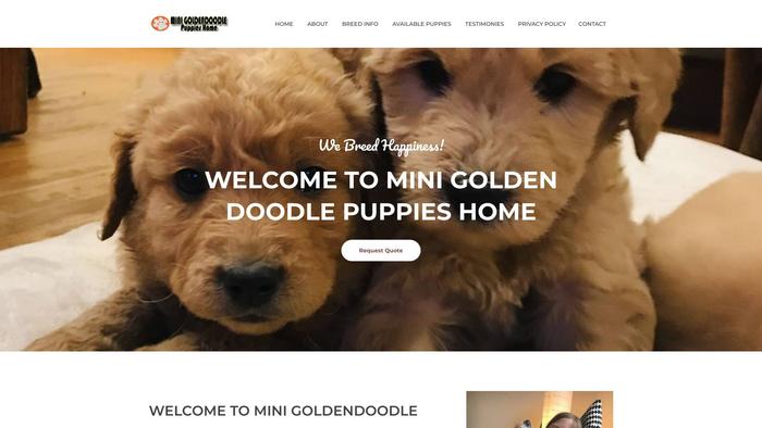 Minigoldendoodlepuppieshome.com - Golden Doodle Puppy Scam Review