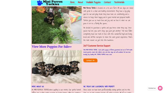 Miniperrosyorkies.com - Yorkshire Terrier Puppy Scam Review