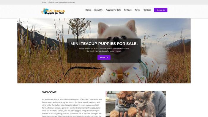 Miniteacuppuppiesforsale.net - Yorkshire Terrier Puppy Scam Review