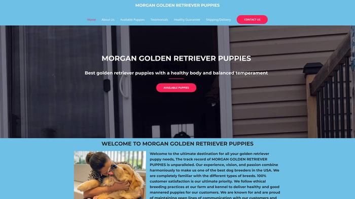 Morgangoldenretrieverpuppyhome.com - Golden Retriever Puppy Scam Review