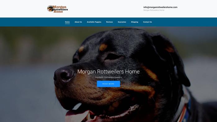 Morganrottweilershome.com - Rottweiler Puppy Scam Review