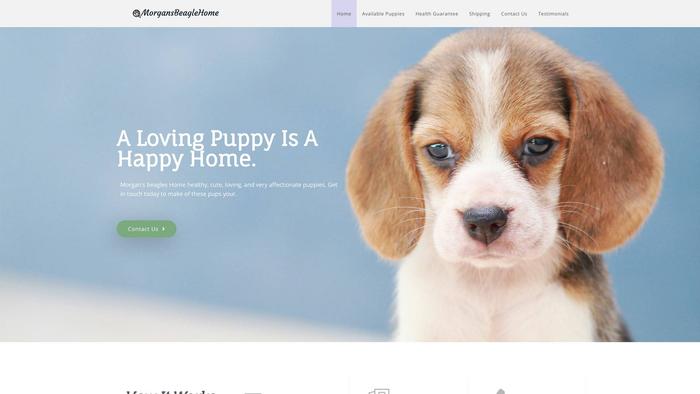 Morgansbeaglehome.com - Beagle Puppy Scam Review