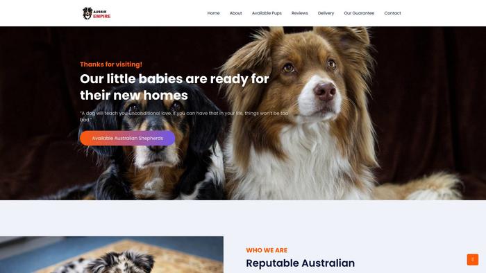 Myaussieempire.com - Australian Shepherd Puppy Scam Review