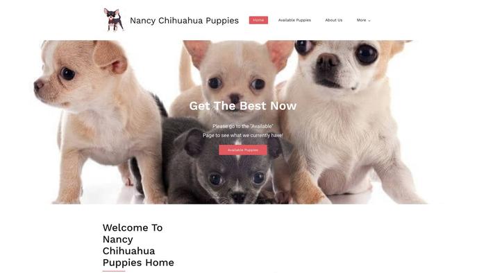 Nancychihuahuapuppies.com - Chihuahua Puppy Scam Review