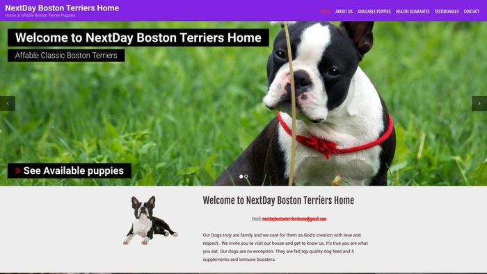 Nextdaybostonterriershome.com - Boston Terrier Puppy Scam Review