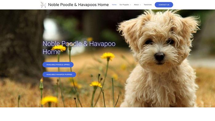 Noblepoodleandhavapoohome.com - Poodle Puppy Scam Review